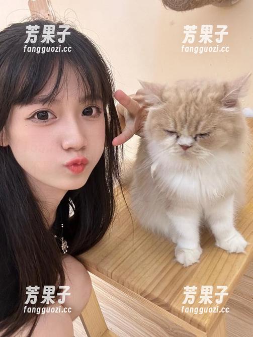 从155.fun黑瓜吃料网来，你是不是也在找官网链接？想想都觉得有点小走火入魔...嘿嘿。