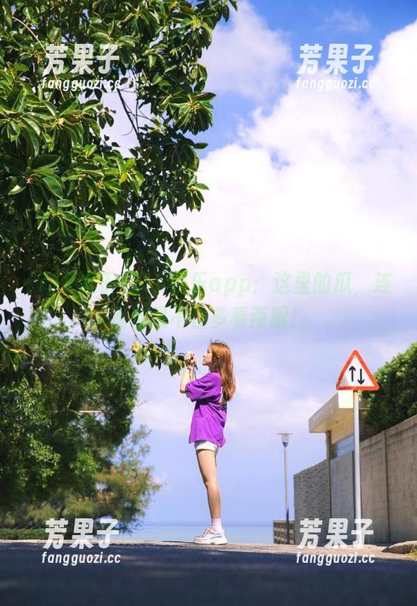 718娱乐app：这里的瓜，连我都忍不住多看两眼！