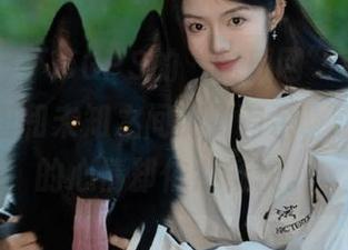 不带GPS的“吃瓜网”直播，当我在朝阳和未知之间游刃有余，永不迷路的心情却依然畅快。