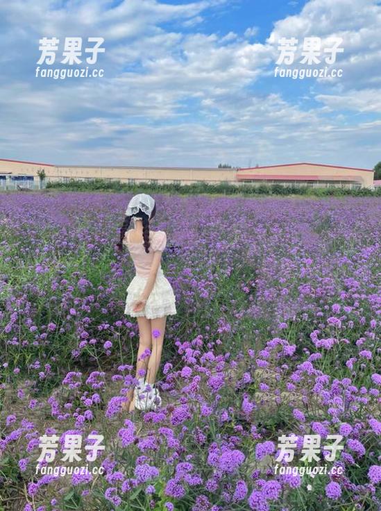 ios用户专享：黑料不打烊官网zztt，你也可以变成“花边新闻大王”！