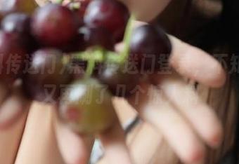黑料传送门登录，不知不觉又再刷了几个惊人料