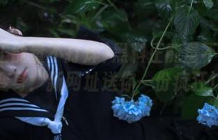 黑料正能量不打烊首页大变身：新网址送你一份疯狂广告！