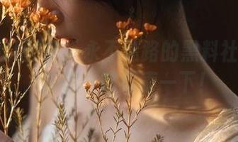 快！永不迷路的黑料社区入口，带你一路探索一下！